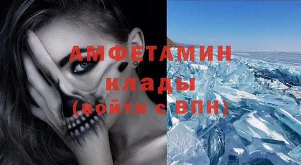 ПСИЛОЦИБИНОВЫЕ ГРИБЫ Инсар